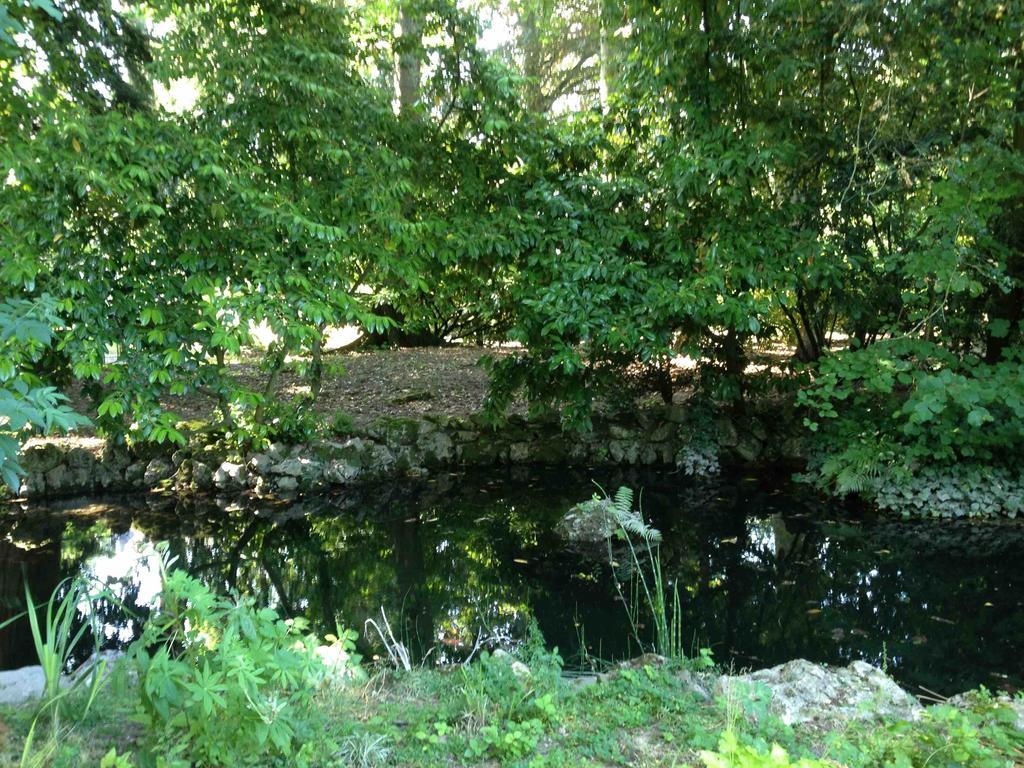 Chambre D'Hotes Les Rives De La Tronne Mer Екстериор снимка